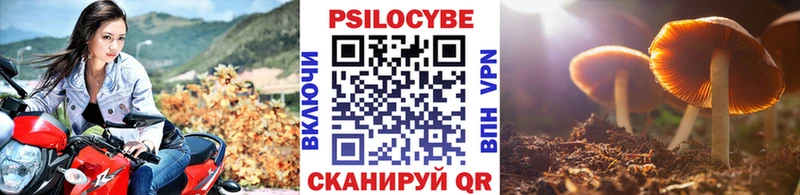 закладка  ссылка на мегу рабочий сайт  Псилоцибиновые грибы GOLDEN TEACHER  Удачный 